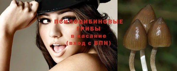 стафф Бородино