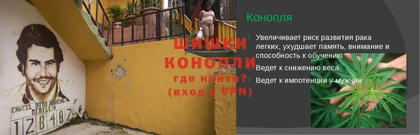 тгк Протвино