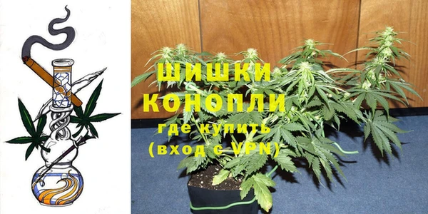 тгк Протвино
