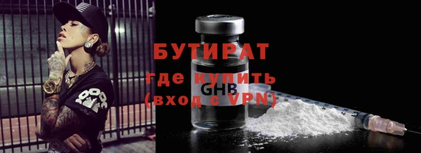 индика Богданович