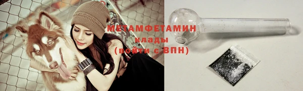 молекула духа Богородицк